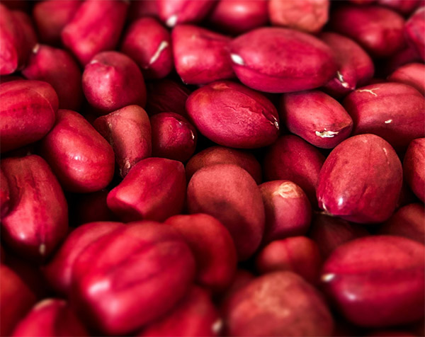 Peanut from Madagascar exported by Soatia Logistic SARL